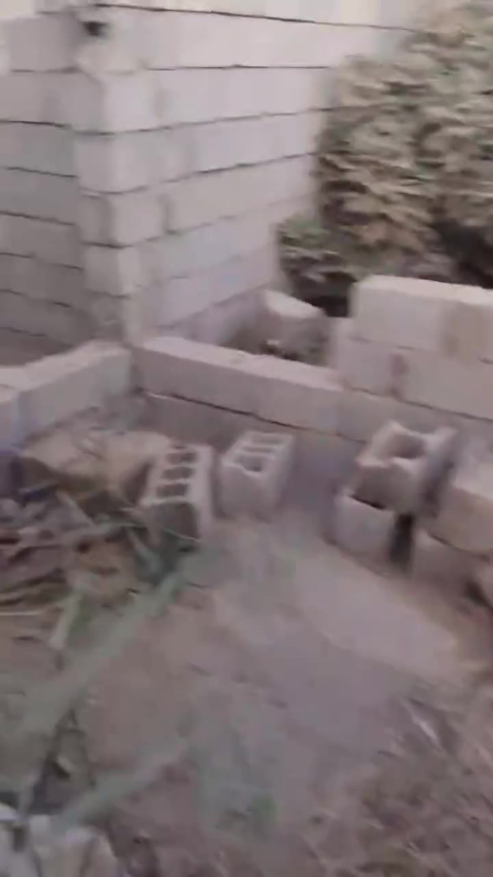 يا الله اللهم صل على محمد وال محمد الموقع بلد  الفرع المجاور الغسل المساحه 85 متر قريب جدا  للاستفسار الاتصال ***********  @الجميع
