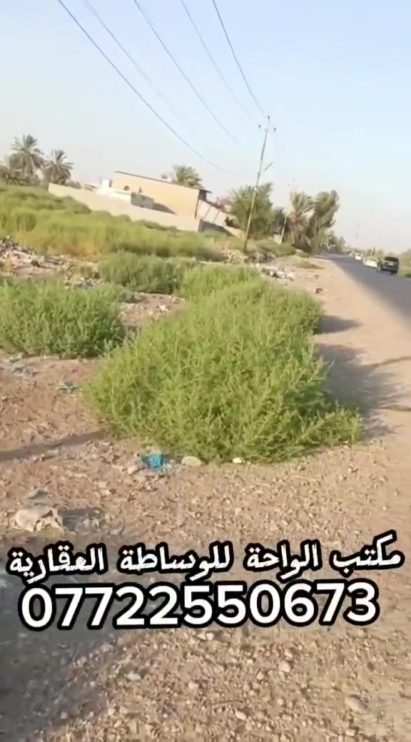 للبيع للبيع
١٦٥٠ مترقطعه ارض تجارية ع الشارع العام عقد مالية ٢٥ سنة اصولية وقانونية...
الوجهه ٦٠ 
نزال ٢٨
تصلح سكن او استثمار جملونات او مخازن او محلات خدمات كاملة ماء وكهرباء وتبليط 
العنوان بغداد طريق محمد سكران خان بني سعد قرية التاميم...
للاستفسار مكتب الواحة للوساطة القارية ***********
تابع الصفحة ليصلك كل العروض 🥰
