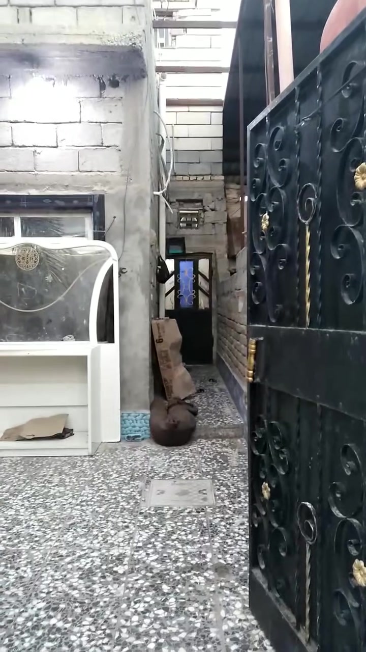 بيت للبيع في الحيانيه يقع بين شارع السيد وشارع القسم خلف الشارع العام الفاصل بين الحيانيه والجمعيات مساحة البيت ١٥٠متر طابق ونصف نوع العقار طابو ملك صرف للاستفسار .الاتصال على الرقم 
***********
