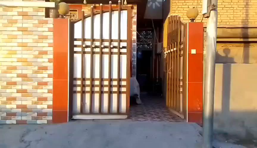 هذا البيت للرهن مقابل فلوس ورديه خارج سيف سعد شارع مدرسه نزهان الجبوري ‏‪***********‬‏
