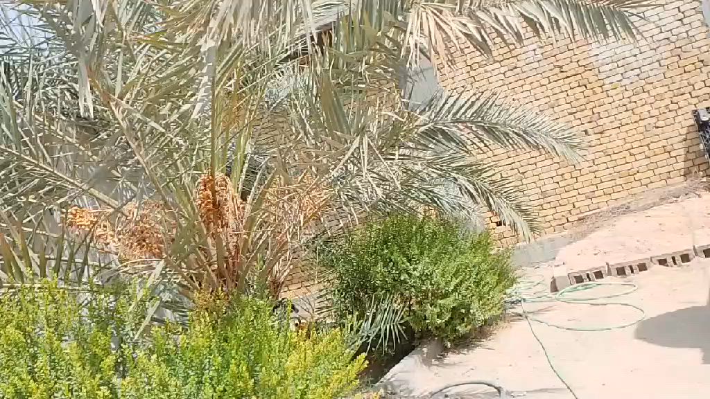 السلام عليكم شباب باسكل سانتوس غراضه كلها موجوده ما بي اي ناقص السعر ١٣٥ وبي مجال حك الجيه


**إذا كنت صاحب هذا الإعلان وتريد حذفه لأي سبب، رجاءا أرسل رسالة إلى الدعم الفني**
