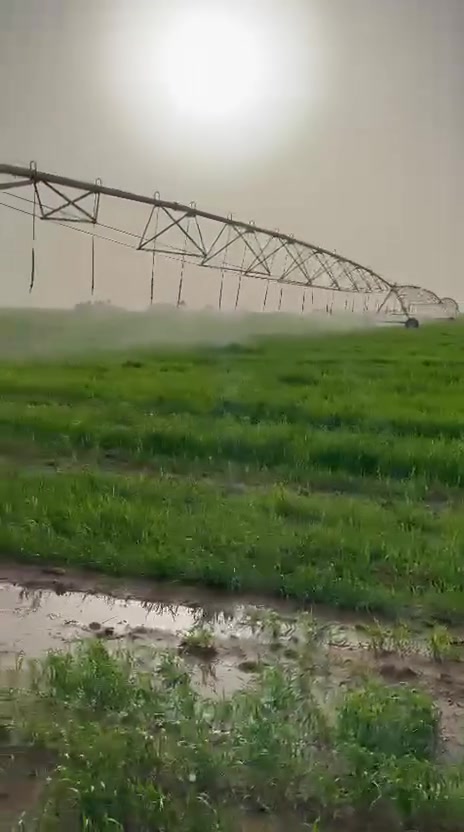 السلام عليكم
يوجد مرشتين محوريه خريف الاصلي ثلاث ابراج طول البرج 61 

للبيع نقداً او بالاجل للموسم 

او ارض صالحه لزراعة(شراكه)

العنوان تل كصيبه قرية الرمث

 للاستفسار على الرقم التالي: ‭***********‬
