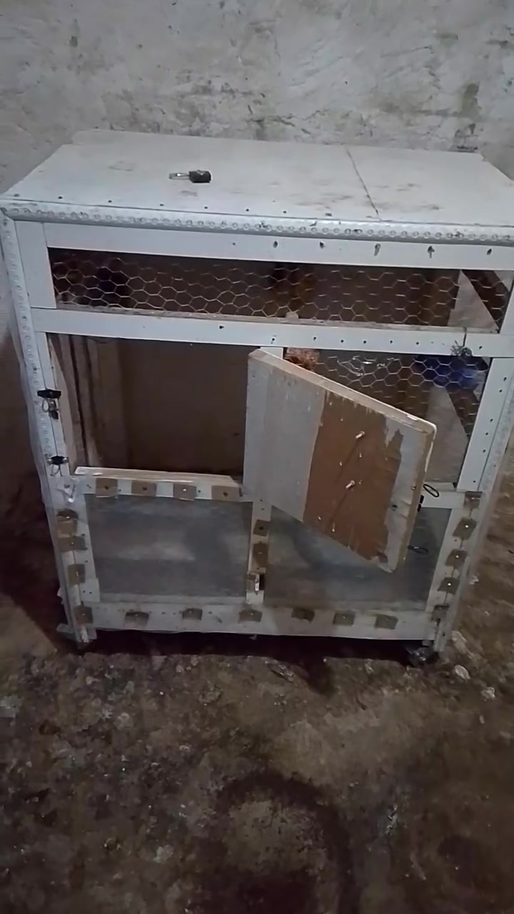 قفص مستعمل مال فناجس للبيع رقم الهاتف.‏‪***********‬‏
