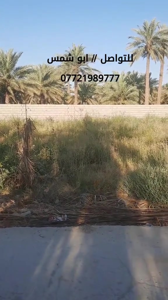 ♦️السعر ٥٥ مليون♦️
على بركة الله ... إعلان رقم(١٧٠٦).
#قطعة_ارض_للبيع
المساحة= ٢٠٠متر.
جنس العقار/ طابو زراعي سند(٢٥).
الموقع// بعقوبة/ام العضام / خلف مضيف الحيالي.
للأستفسار الاتصال على الرقم
***********
