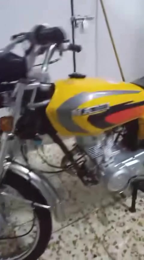 للبيع اصلي شلامجه ***********

