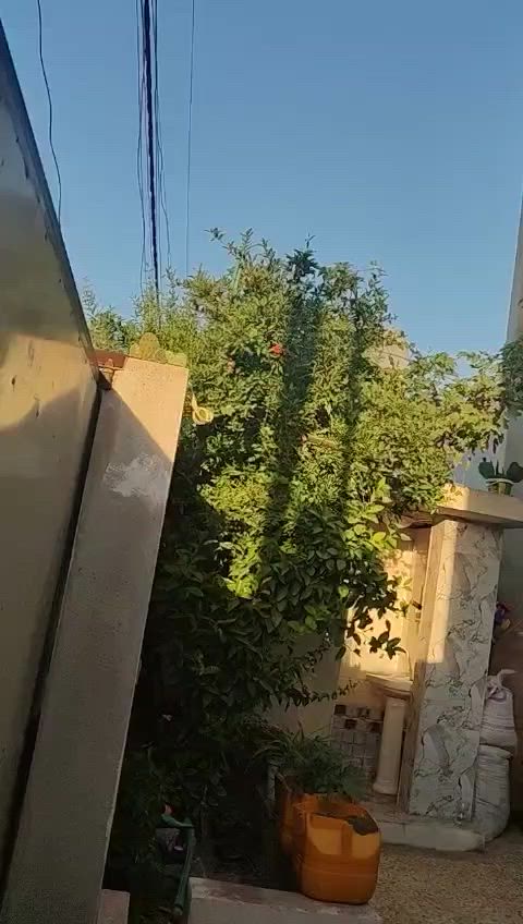 بيت للبيع العنوان حي الرشيدية المساحه 170 واجهة 7 ونص
البيت طابقين : طابق الأرضي 
غرفه نوم كبيره 
هول 
استقبال 
مطبخ 
صحيات 
الطابق الثاني: 3 غرف وغرفه سويت 
وهول وبيتونه بالطابق الثالث 

الاستفسار الاتصال عبر الرقم

 ***********
