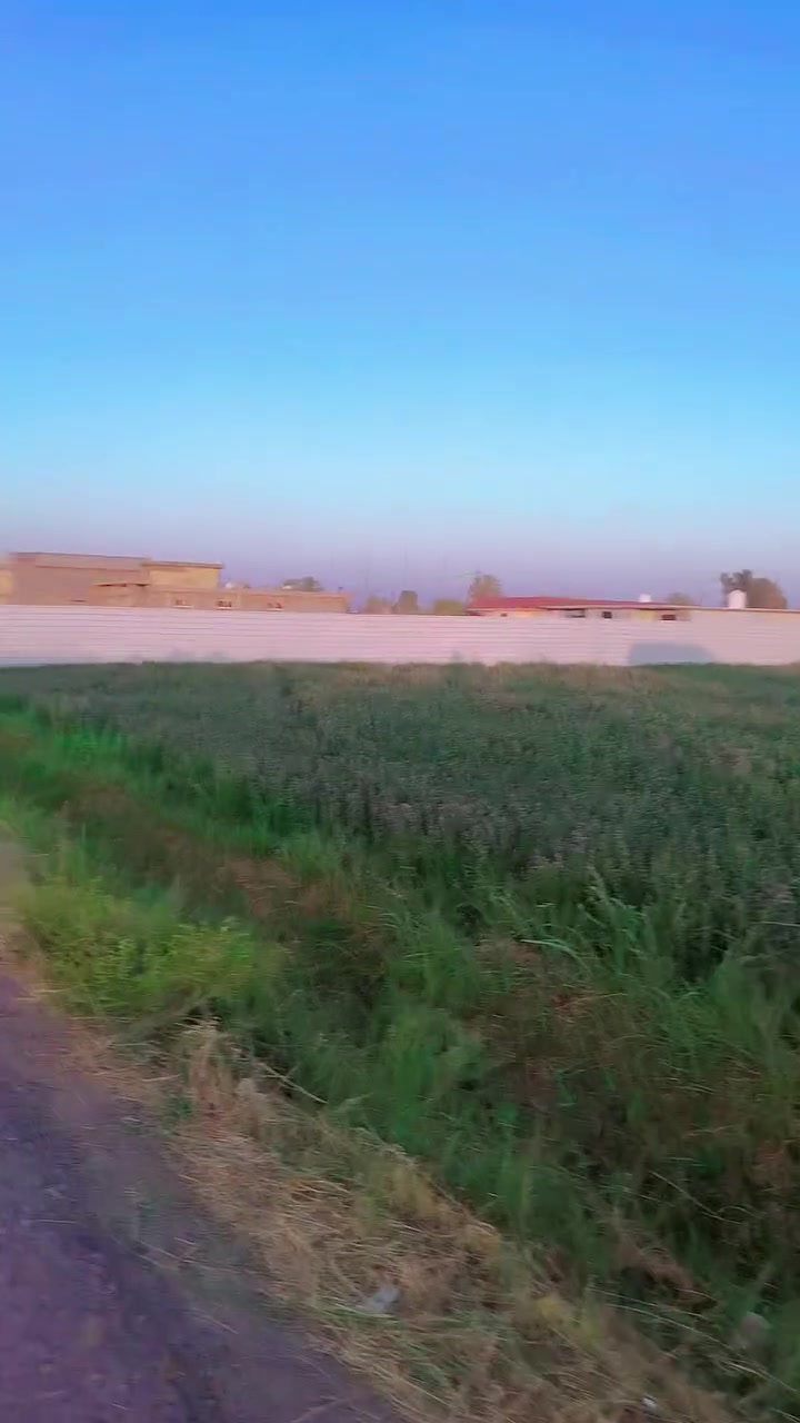 واتساب ***********
