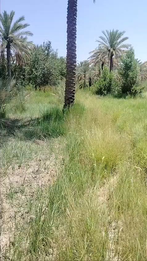 🌿 يالله 🌿
📍 قطعة أرض للبيع
📐 المساحة: 200 متر
📄 طابو زراعي – سند 25 مع إقرار محكمة
💰 البيع نقداً أو بالتقسيط
📍 العنوان: كربلاء – رابط الزبيلية – مدخل سيد إسماعيل – مجمع علي الأكبر
✅ موقع مناسب للسكن والاستثمار
📞 للاستفسار والاتصال: ***********
📲 واتساب متوفر
🏡 نستقبل كافة العروض للبيع والشراء في كربلاء.
