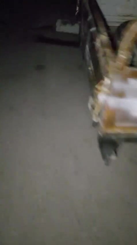 سلام عليكم ستوته وموديل 14 رقم بيض الثانويه منتهيه رقم ذي قار ج. فقط راعيها ما ندل الناصريه مكان السماء وقضاء الخضر سعر 1200 
كير جديد      ***********
