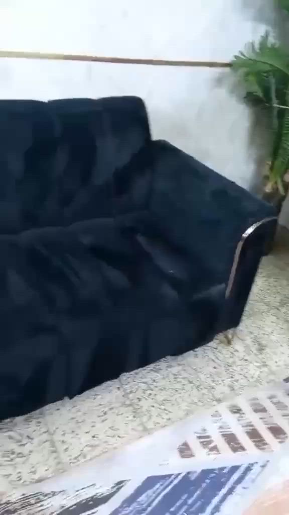 تخم ٨ مقاعد للبيع السعر٢٠٠ وبي مجال


**إذا كنت صاحب هذا الإعلان وتريد حذفه لأي سبب، رجاءا أرسل رسالة إلى الدعم الفني**