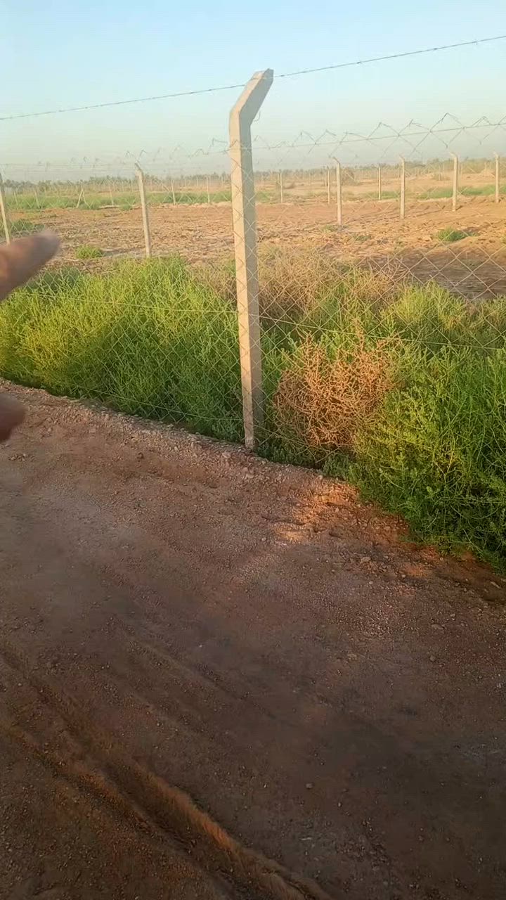 نص دونم للبيع طريق النجف 
عمود ١١٤١ مدخل اله مباشر
ولنزله الثانيه شارع ال جباس 
يبعد عن التبليط تقريب ٢٠٠ متر
طابو زراعي سند ٢٥ مسيج ماء كهرباء شارع ٦ متر سبيس
*********** علي العكيلي
