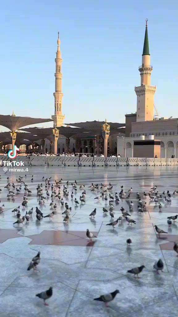 علان عرض خاص عمره البر 15يوم صافي  5ايام مدينة و 10ايام مكة السعر 6اوراق وجميع الخدمات وجبتين طعام وجنط وحرام وحجابات للنساء ومزارات مكه المكرمة والمدينة المنوره معا مرشد ديني يرافق الرحلة وضيافه الطريق ومبيت في مزرعة حائل معا وجبت افطار الفنادق في مكه محبس الجن باتجاه الصقاف والمدينة مركزية السفر أن شاء الله 7/10الى7/15 سارع بل حجز ***********
