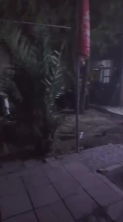 بيت البيع بل الدوانم يم الشبكه يم الشارع ٥ كيلو مساحته ٢٢٠ متر *********** بس واتساب
