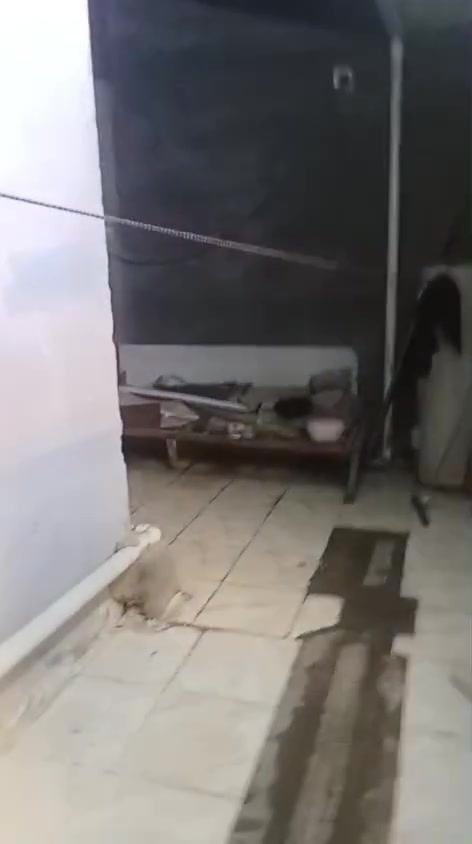 يجار طلبات***********
