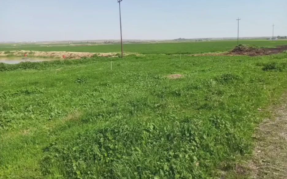 🏠 ژمارە ( 42  )
زەوی بۆ فرۆشتن
40 دۆنم تاپۆ
گوندی ترپەسپیان
بیری اتوازی تیایە
بۆ زانیاری زیاترپەیوەندی بە
***********
ڤایبەر📞واتساب
