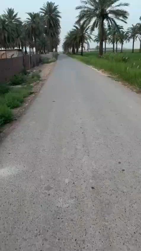 سند 25عبور الجسر الفرنسي ام العبيد ***********

