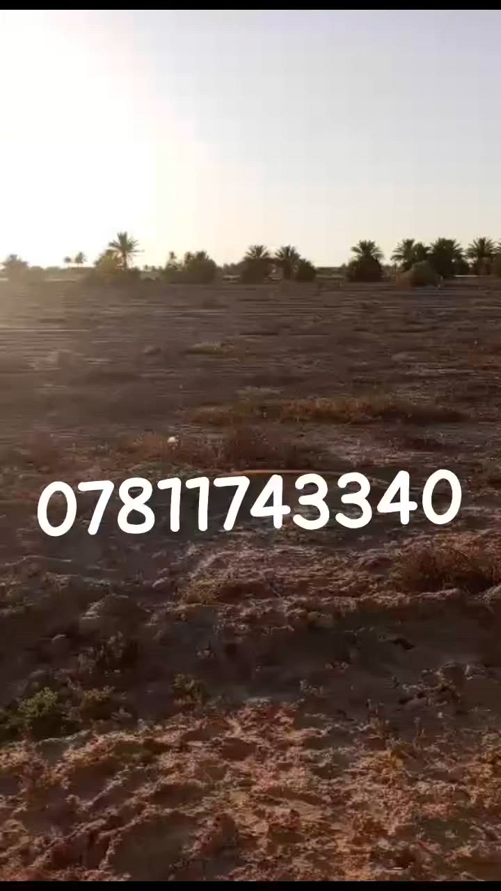 سلام وعليكم قطعة ارض للبيع
مساحة 1450 متر ركن سند 25
عبد الكريم ضامن قرب معمل العلف واصل كهرباء و مي موجود واصل للكاع شارعة 10 مترات يبعد التبليط عن الكاع 100 متر  سعره 32 وبي مجال 
للاتصال والاستفسار ***********
