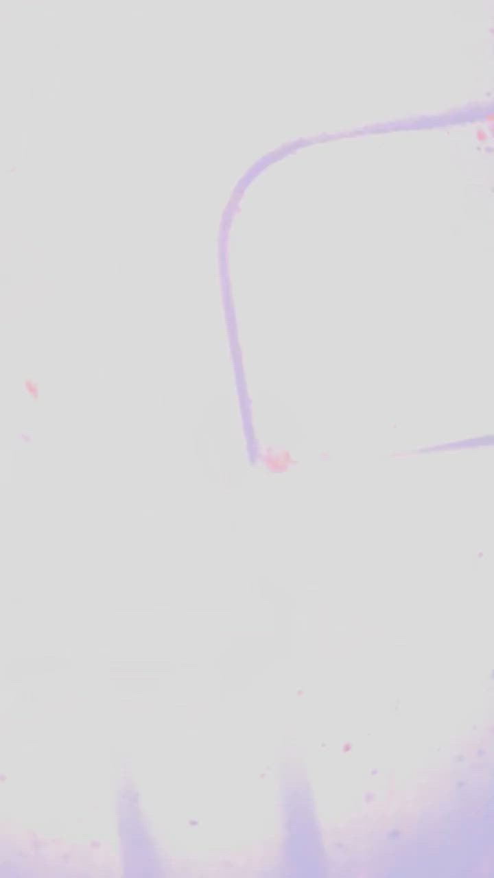 للبيع شبابنه غراض عدله ولد للاستفسار اكثر خاص او***********

