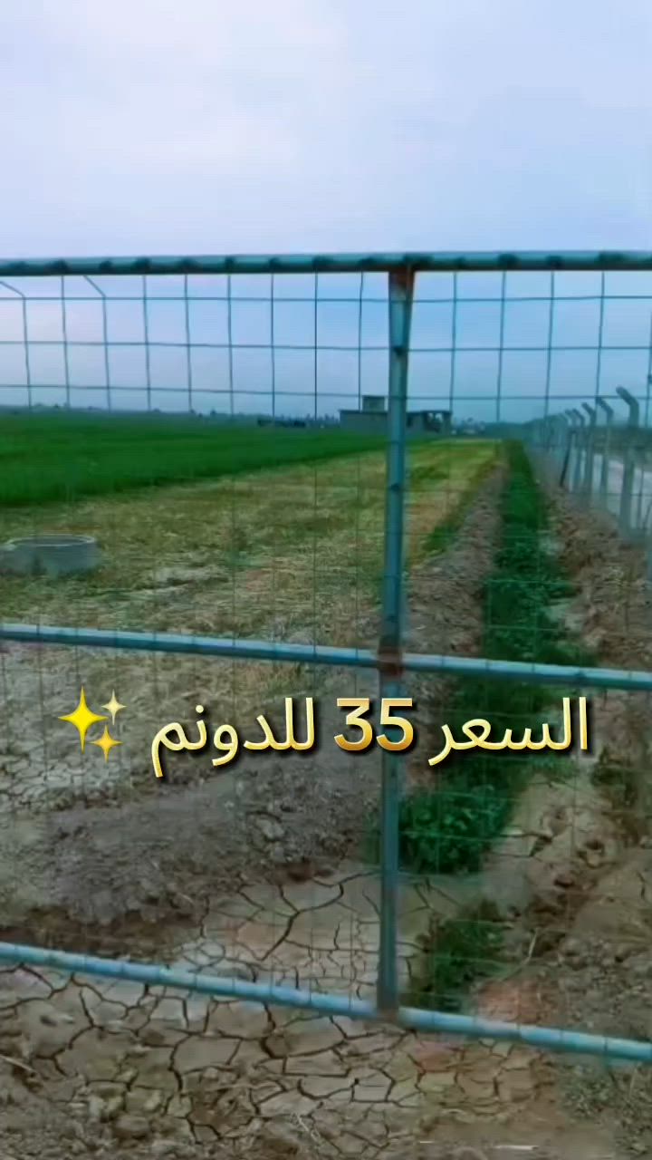 بغداد __أبوغريب
*********** واتساب
***********
