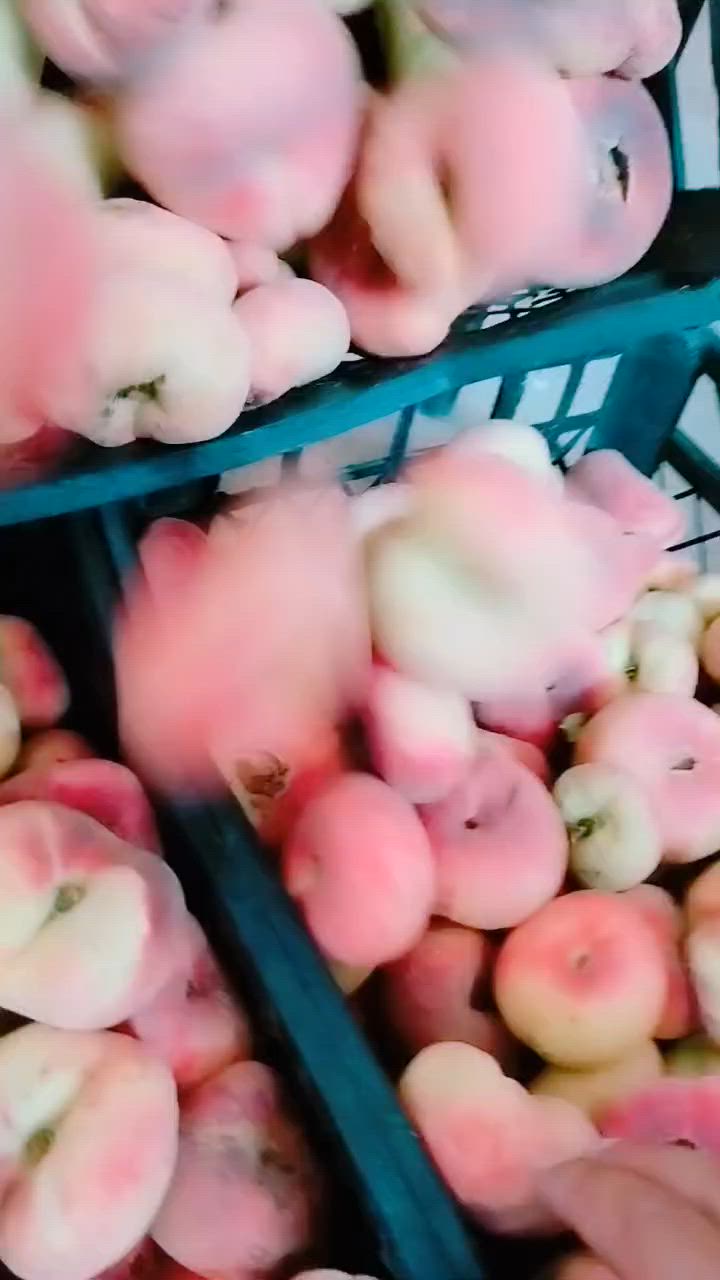فلفل بارد درجة أولى ب ألف دينار🫑🫑🫑🫑🫑 
خيار درجة أولى ٣ كيلوات بألفين 🥒🥒🥒🥒🥒🥕

خوخ عراقي درجة أولى ب ألف ونص 🍑🍑🍑🍑🍑🍑🍑

وحياكم الله الجميع


**إذا كنت صاحب هذا الإعلان وتريد حذفه لأي سبب، رجاءا أرسل رسالة إلى الدعم الفني**