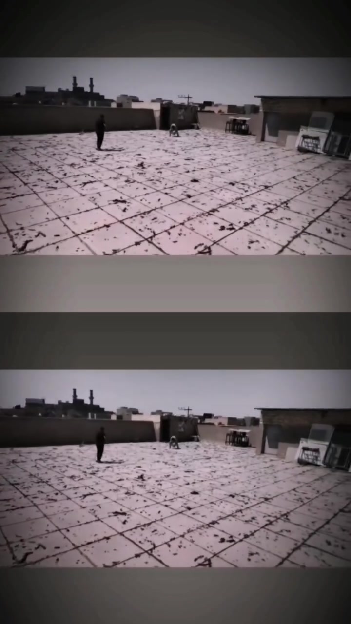 سلام عليكم استاذ رائد كريم // ختصاص تطبك شتايكر و قلع وماستك مكاني في السماوه رقم الهاتف ***********
