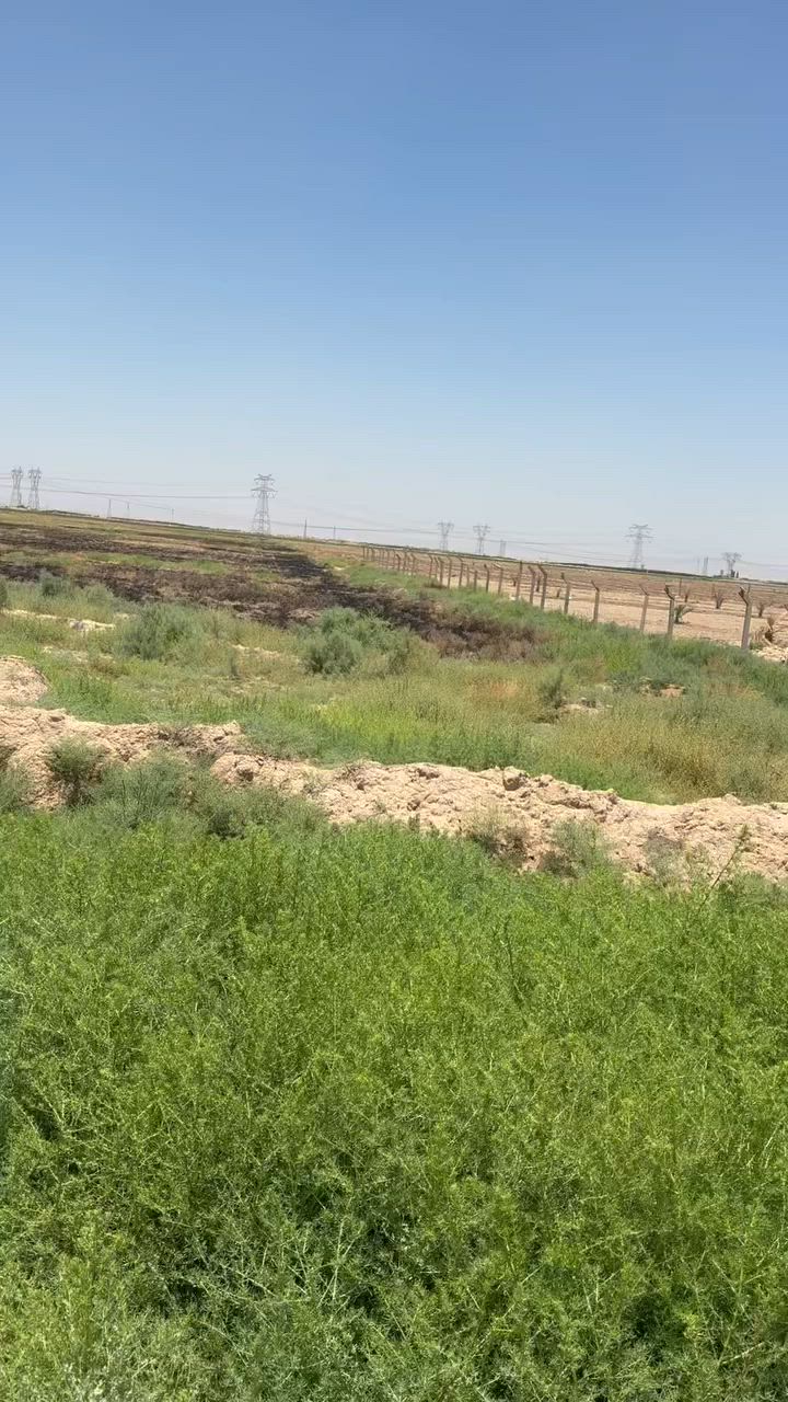 السلام عليكم ارض زراعيه لبيع 17 دونم مي اساله بيها وكهرباء ومي سقي زراعي عقد 35 باسم جيراني تريد تحويل عادي تريد مكاتبه عادي وسند مالتها مجدد دافعين للدوله لحد سنه 28 و سعرها 10 لدونم بيها مجال كلش بصيط ***********
