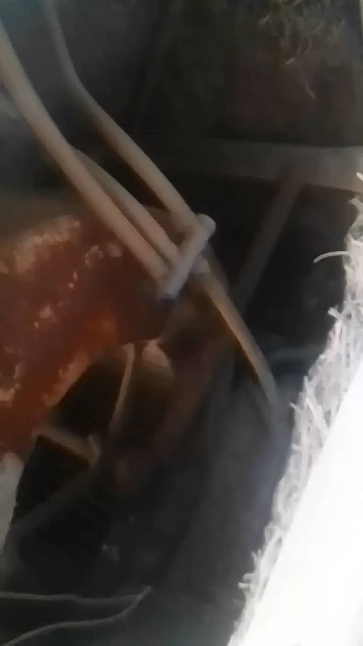 نقص بس واتربم ٧٥


**إذا كنت صاحب هذا الإعلان وتريد حذفه لأي سبب، رجاءا أرسل رسالة إلى الدعم الفني**