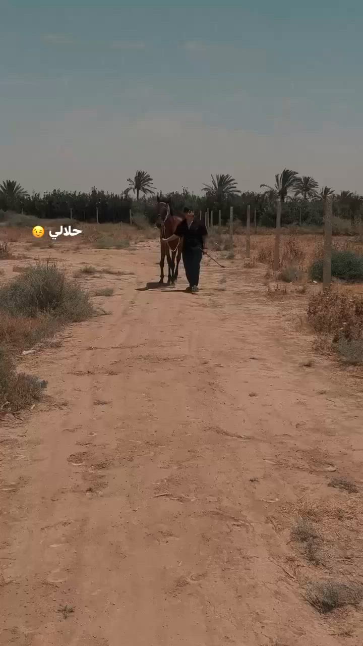 حصان مستورد للبيع السعر مليون 400وبي مجال رقم تلفون ***********الي مو شراي لا يتعبني
