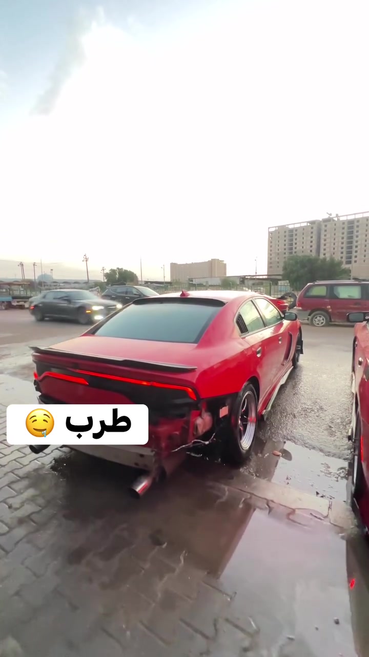 دبات سود
للبيع 
280 الف
مكاني نجف
واتس  ***********
