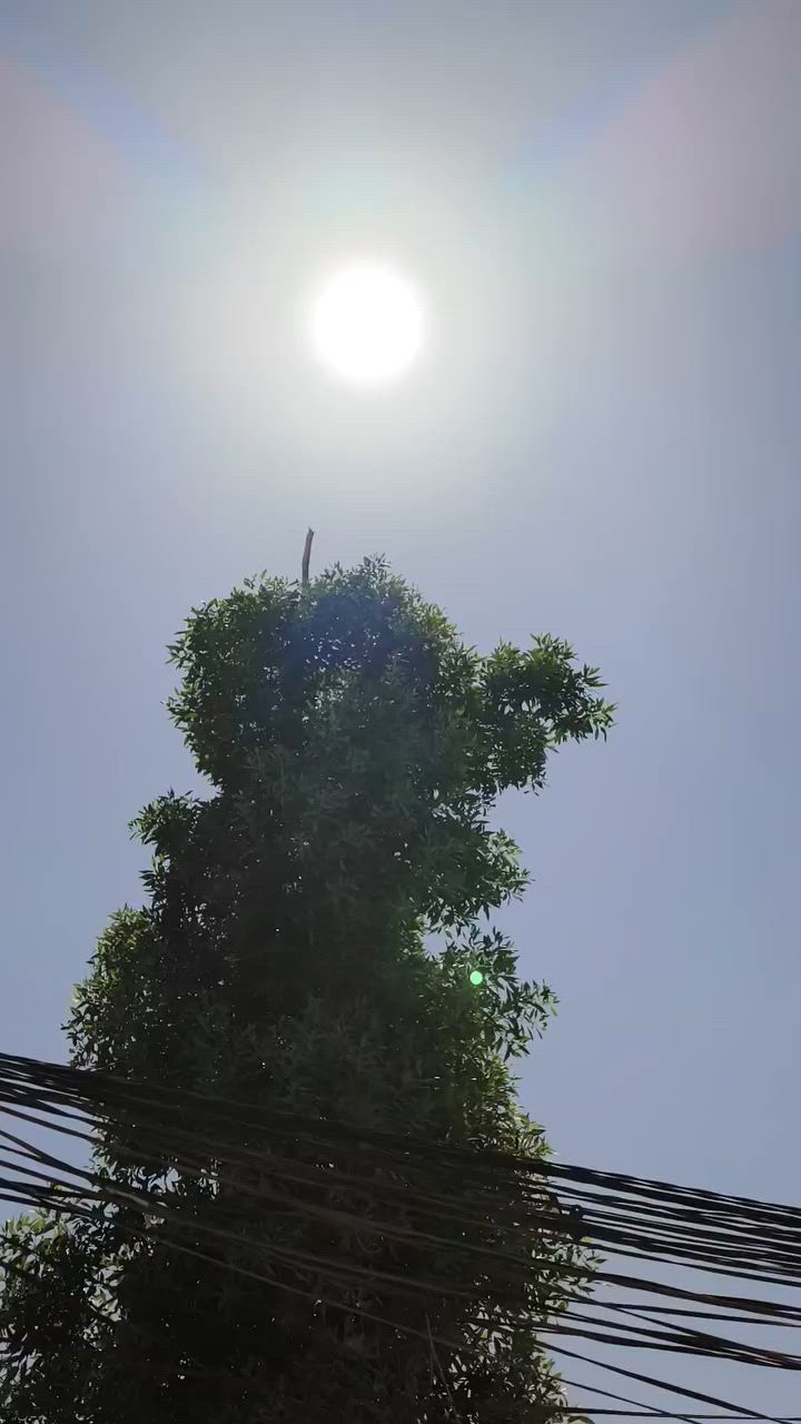 سلام عليكم باسكل للبيع الشراي يجي خاص والمو شراي لا يجي خاص


**إذا كنت صاحب هذا الإعلان وتريد حذفه لأي سبب، رجاءا أرسل رسالة إلى الدعم الفني**