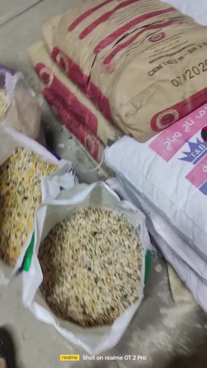السلام عليكم شباب وصول مخبوط زاخو جميع أنواع 
خشن ناعم وسط مطيار 

محل مهدي الشويلي العنوان الرفاعي شارع كليه الزراعه 
***********
