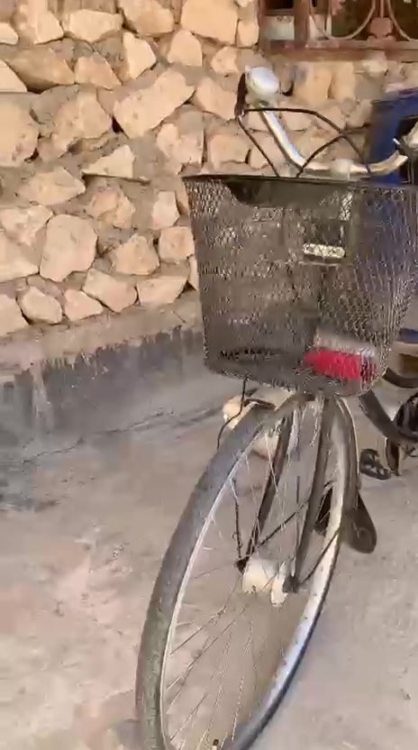 سلام عليكم البيع بايسكل جديد السعر ٨٥ وبي مجال الرقم االهاتف *********** علي

