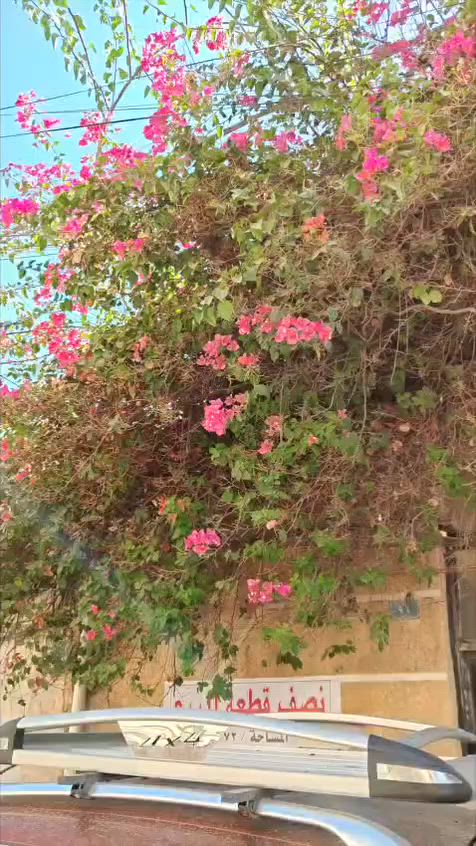نص قطعه شرك للبيع قطاع 56حي الاكراد اعكاده طابق اونص جاهزه للسكن ***********الشراي يتصل
