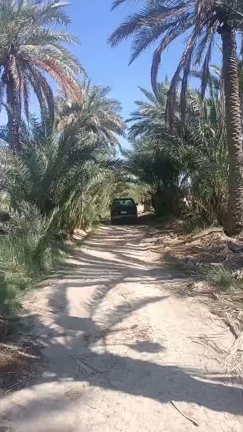 7دوانم طابو ملك عنوان بغداد المكاسب يم سياج المطار موقع جدا حلو سكني كلشي يرهم شاليه مزرعه سعر الدونم الواحد 165مليون؟؟؟؟ شركه استثمار مقاولات بغداد عامه يتوفر لدينا جميع المساحات البيوت قطع فلل وشاليه *********** اتصل
