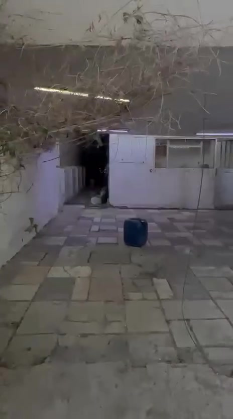 بيت للايجار في المنصور الداودي قرب مدرسة الخلود مثل ما واضح بالفديو إيجارة مناسب جدا
للاستفسار واتساب ***********
