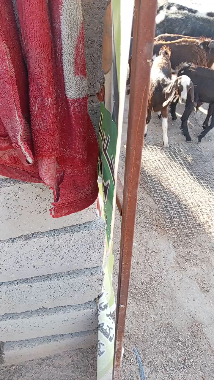 الي محتاجهن يخابرني بسعر مناسب
***********
