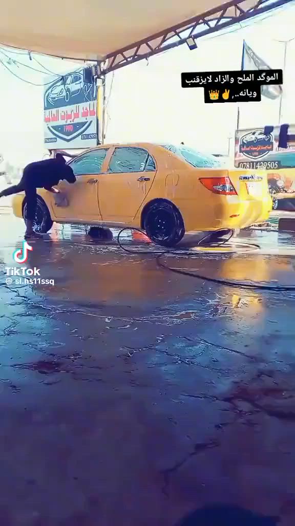 بيوادي للبيع موديل تقع تفاصيل تصل عل رقام ***********
