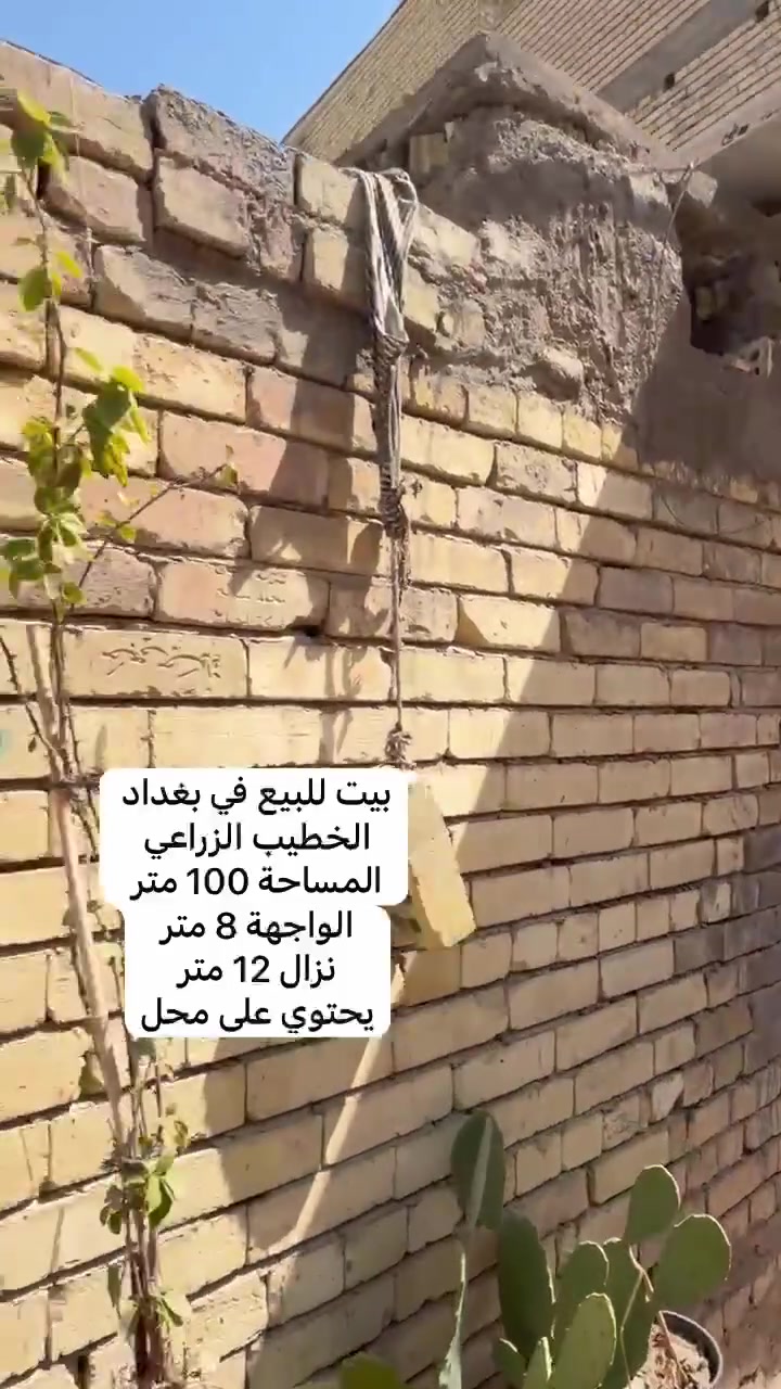 السلام عليكم
بيت في منطقه الخطيب الزراعي شارع خوله السعر 90 وبي مجال ***********
