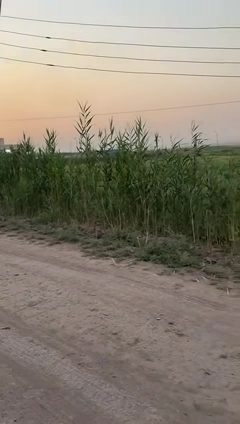السلام عليكم نص دونم كلش مرتب ملك صرف يصلح سكن ويصلح مزرعه كامل خدمات بغداد المدائن تويثه  للاستفسار خاص او***********
