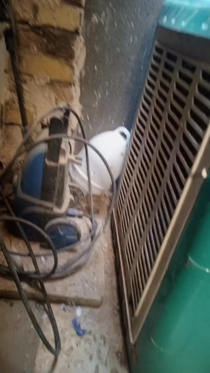 اللبيع جديده  مبرده أحله نادر لاولى الرقم ***********
