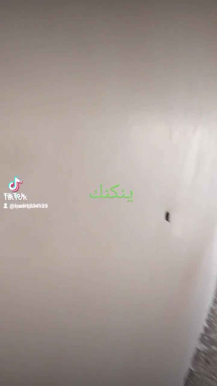 خلفه لبخ مخمر طلس تقطيع جص درجه اولئ ***********
