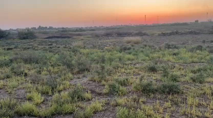 كاع للبيع مي وكهرباء طابو زراعي تحويل مباشر دونم ونص الشهابي الاولئ ترهم سكن ترهم مزرعه كاع زراعيه
***********
***********
