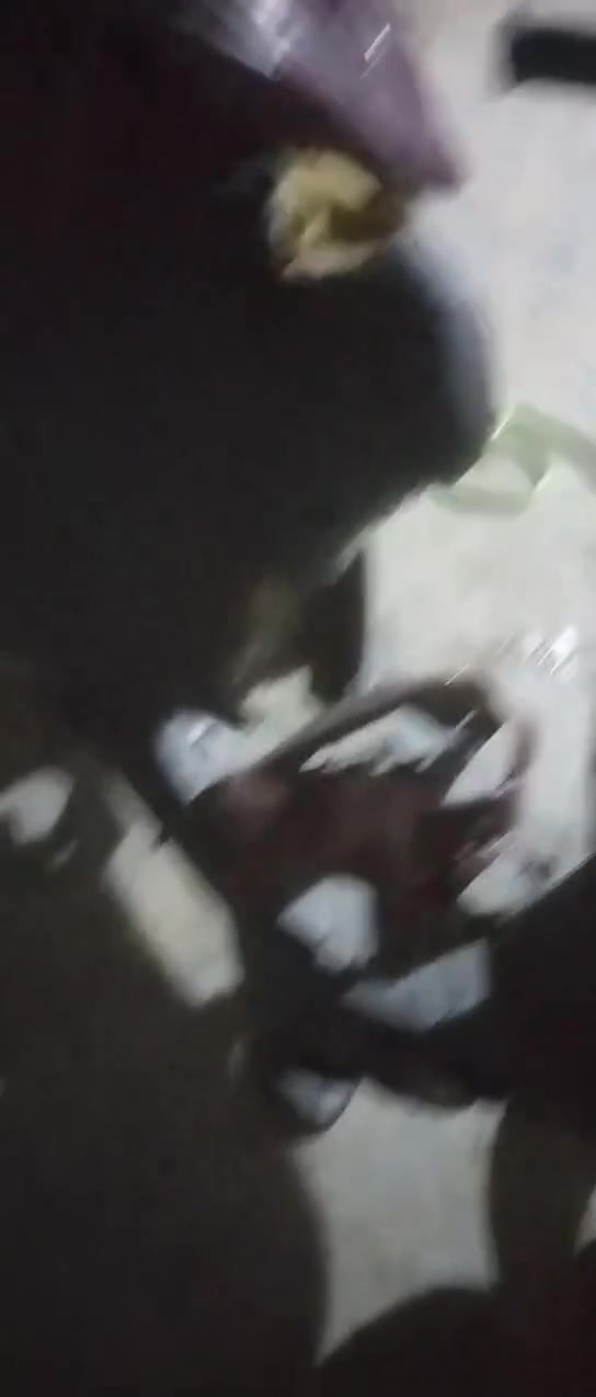 ثسلام وعليكم ادرس للبيع عوزه كابريتر ماعرف جوزه ابيعه كوم حديد ب75 مكان كوت الزهراء ***********
