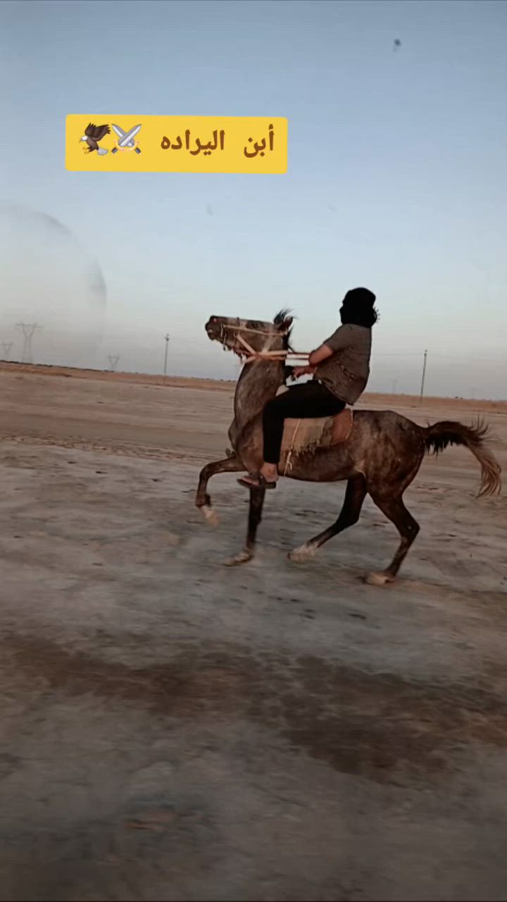 السلام عليكم من رخصة مدير الكروب المحترم خيالتنه العزاز فلو عربي للبيع العمر ٣ سنوات اارتفاع ١٤٩ خياله خير من الله
باقي التفاصيل ألاتصال علا الرقم //***********// متواجد واتساب @
السلام عليكم من رخصة مدير الكروب المحترم خيالتنه العزاز فلو عربي للبيع العمر ٣ سنوات اارتفاع ١٤٩ خياله خير من الله

