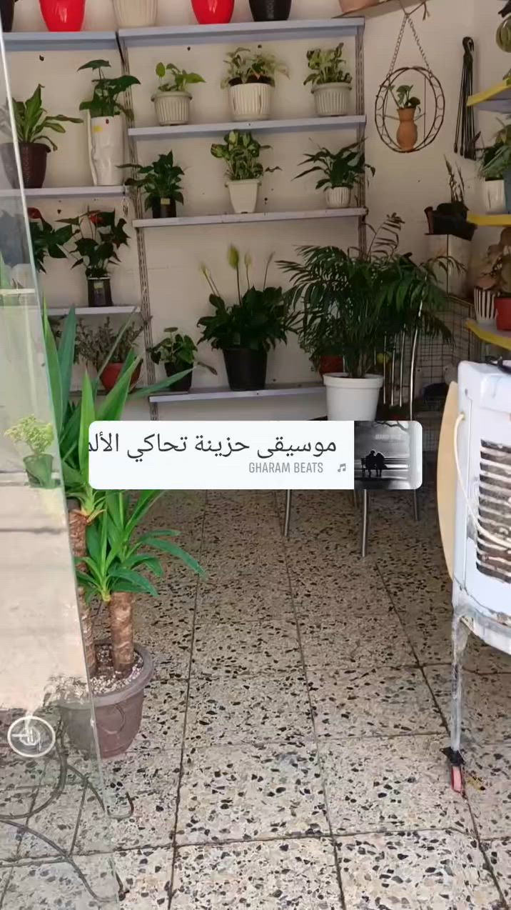 تصفيه محل بسعر جمله مكان 
وادي حجر قرب افران ومعجنات ابو اياد


**إذا كنت صاحب هذا الإعلان وتريد حذفه لأي سبب، رجاءا أرسل رسالة إلى الدعم الفني**