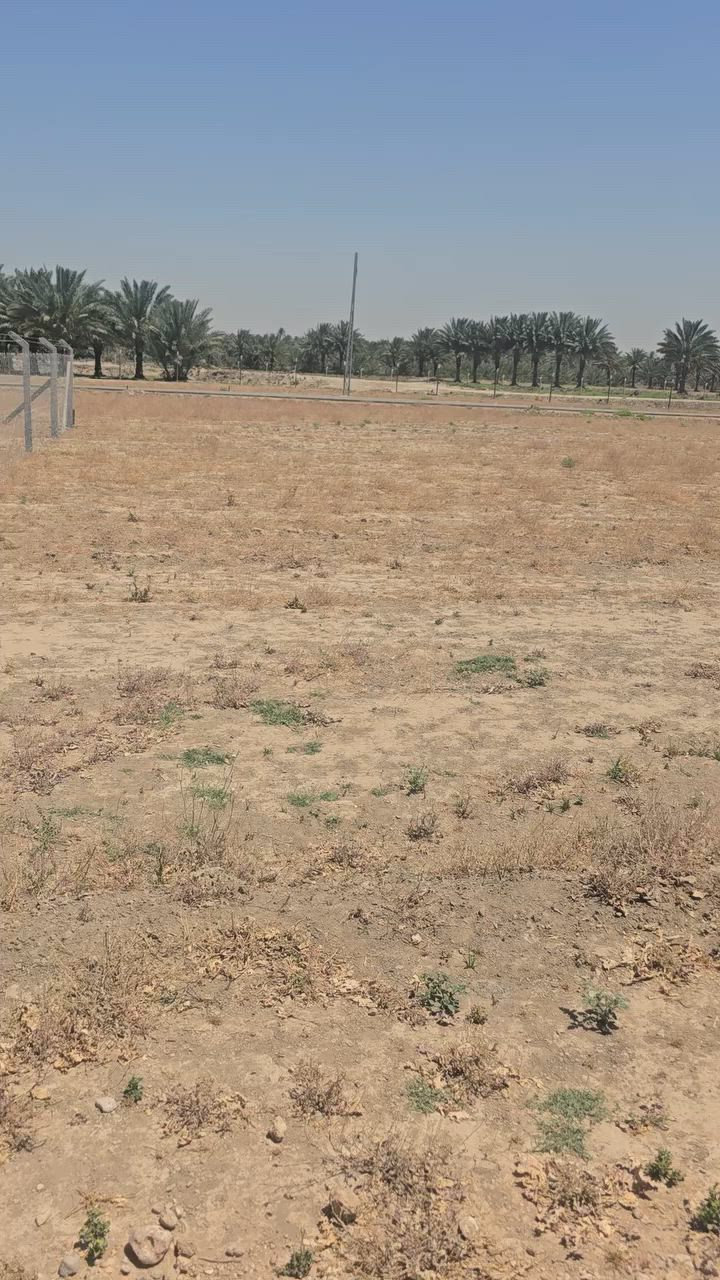 ١٠٠٠ متر للبيع طابو زراعي سند ٢٥. موقع كلش مرتب.  ***********
