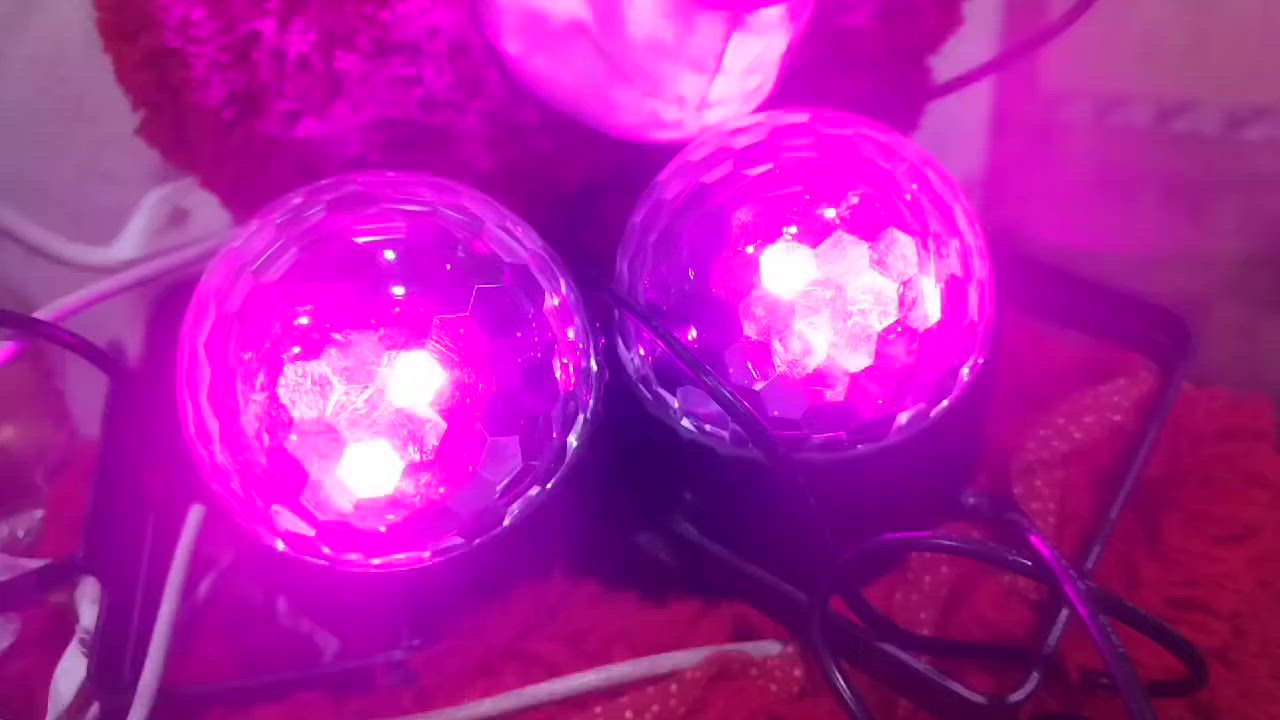 غراض امزون للبيع كلمن سعره مكتوب سوق الشيوخ قرب فلكة الولايه ✋


**إذا كنت صاحب هذا الإعلان وتريد حذفه لأي سبب، رجاءا أرسل رسالة إلى الدعم الفني**