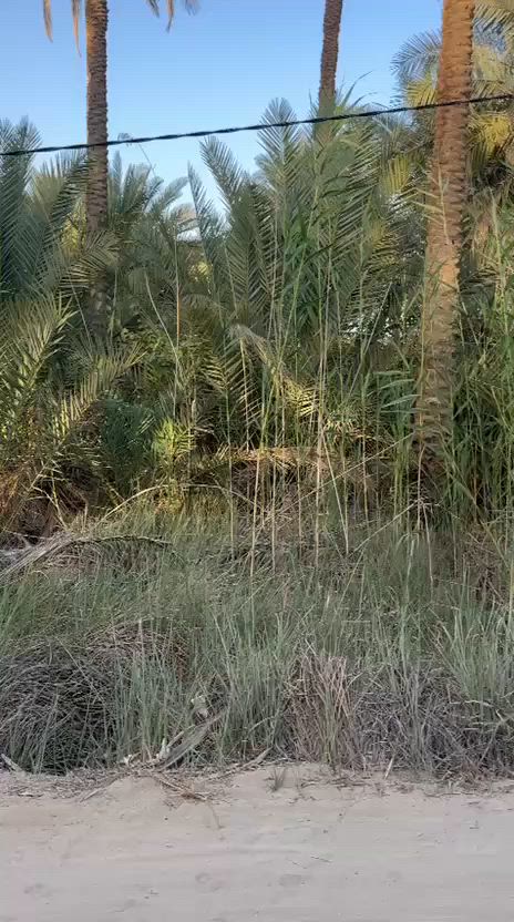 السلام عليكم قطعه للبيع المساحه 1000متر  ✅✅
طابو ملك صرف اقرار محكمه من صاحب الارض مباشر ✅

العنوان كربلاء الحسينيه شارع السيده زينب منطقه الجريه او الطف ✅✅

بسعر300قابل للتفاوض

للاستفسار آكثر الأتصال على ***********
️

وكذلك نستقبل جميع العروض لديكم في كافه مناطق كربلاء المقدسه ✅✅
