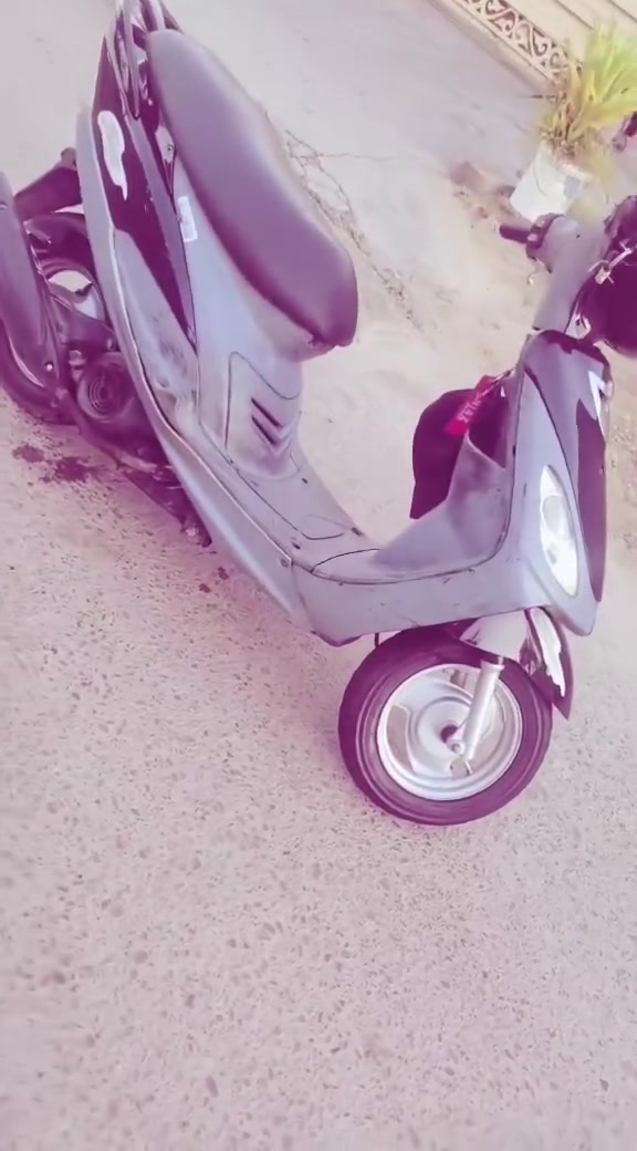 للبيع منغولي بلادي +لمو شراي لا يلفيني وجه ناعمه كلش 600بيه مجال ***********واتساب فقط متواجد
