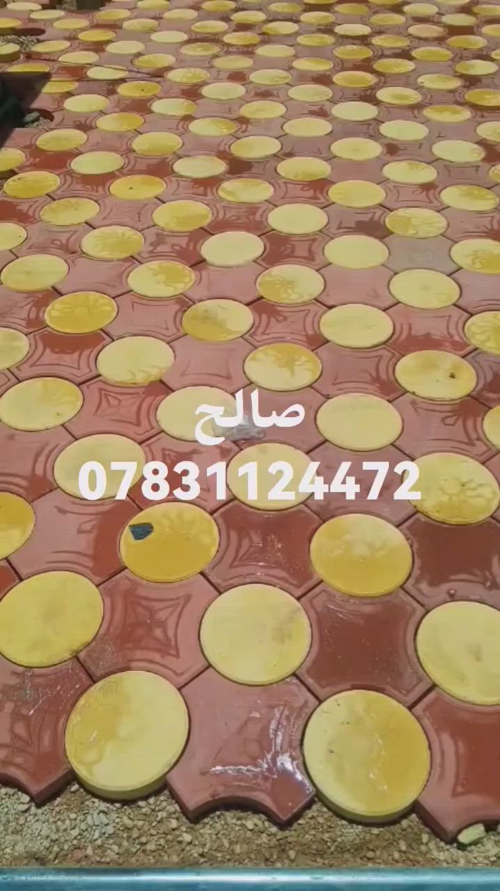 صالح ***********
